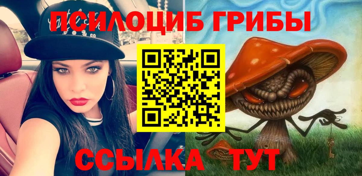 Камень-на-Оби  Псилоцибиновые грибы MAGIC MUSHROOMS  Вход с VPN 